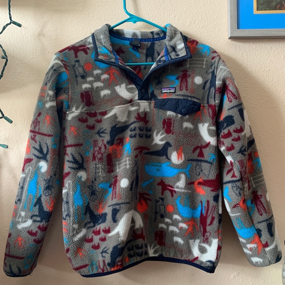 Rare pattern Patagonia Synchilla Fleece!